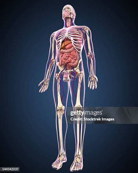Image result for Body Control Module