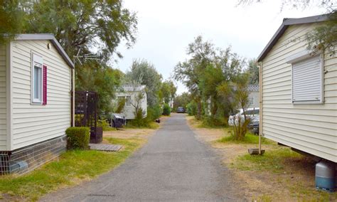 Town Script Pastebin 的图像结果