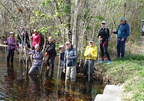 Introduction to Swamp Walk with Interpretive Tram tour, 137 Coast Line ...
