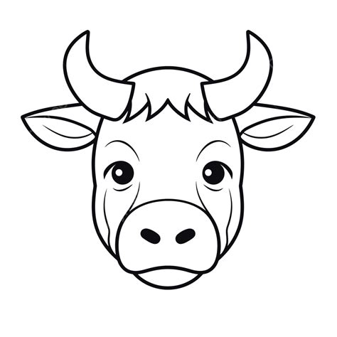 Cattle Head Drawing