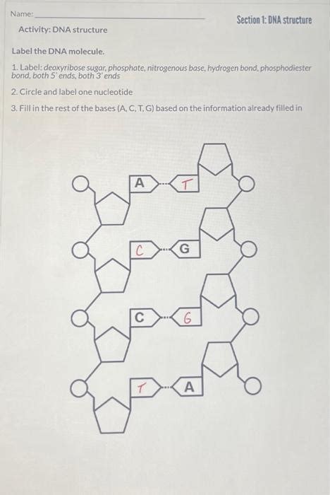 DNA Label 的图像结果