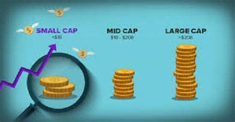 Small cap stocks in the eye of fund managers