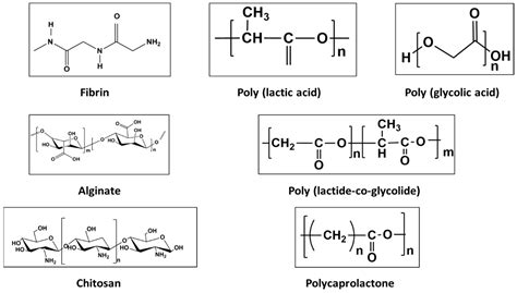 Polymeric Coatings for Magnesium Alloys for Biodegradable Implant ...