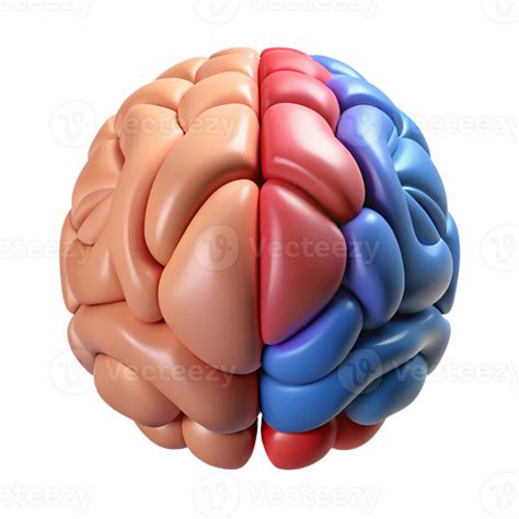 Science Brain 的图像结果