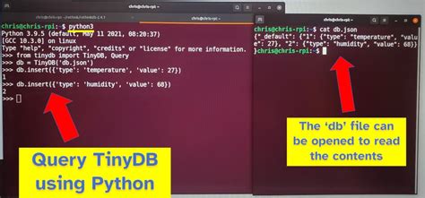 Datenbank Raspberry Pi Tutorial 的图像结果