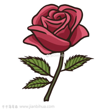 漂亮的玫瑰花简笔画步骤图_花朵