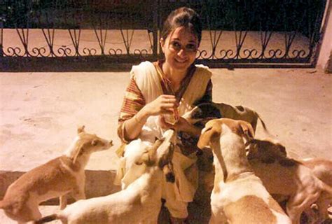 Lucknowites’ love for animals in general has risen, feel animal ...