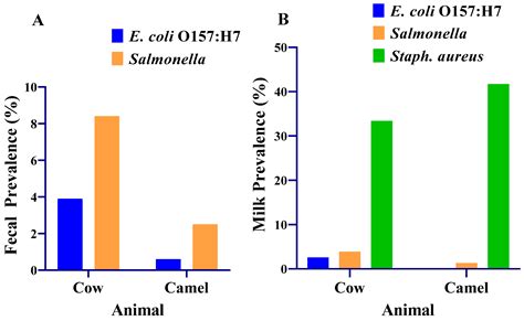 Prevalence and Antimicrobial Resistance of Escherichia coli O157:H7 and ...