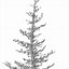 Image result for Tree Pen Drawing