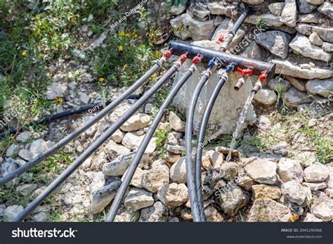 6,028 Watering invention 图片、库存照片和矢量图 | Shutterstock