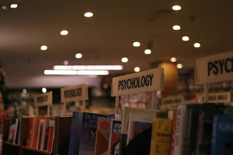 Unlock Your Knowledge with ReadTheory.org Login | OnlineTheories.com