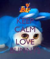 Image result for Cute Love Bunnies