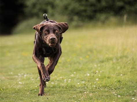 Shutter Priority Tutorial 的图像结果