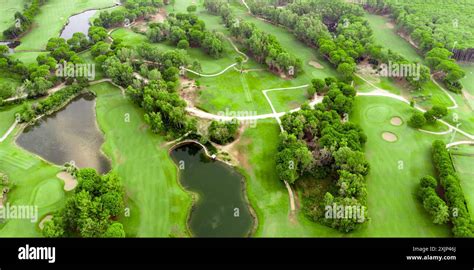 Golf Court 的图像结果