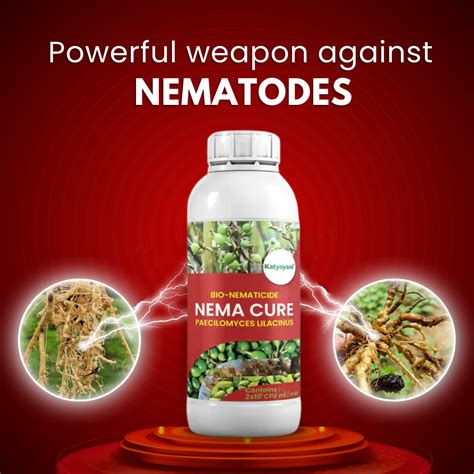 Katyayani Nema Cure Paecilomyces Lilacinus Liquid | Bio Nematicide for ...