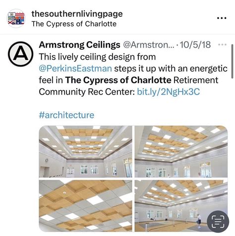 The cypress of Charlotte, in the south park area. : r/greatercharlottenc