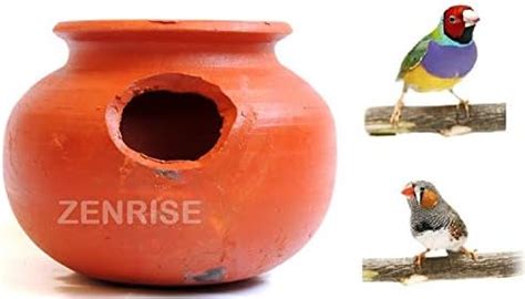 ZENRISE® Terracotta Finches and Sparrow Bird House Pot for breeding and ...