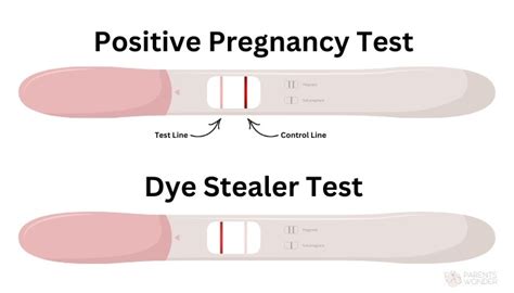 Dye Stealer Pregnancy Test Meaning (& Other Anomalies)