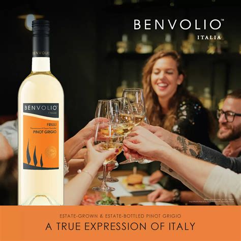 Benvolio Friuli Pinot Grigio White Wine - Shop Wine at H-E-B