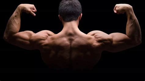 Is extreme bodybuilding putting your heart at risk? Here's what the ...