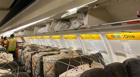 SpiceJet operates India’s first cargo-on-seat flight to carry vital ...