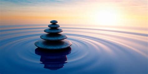 About | themyerscenter.com