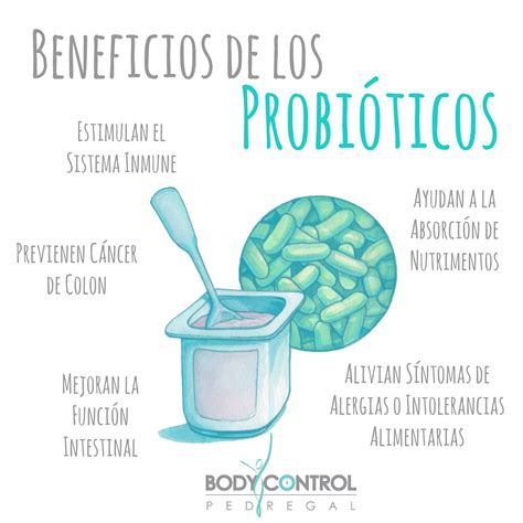 Para Que Sirven Los Probioticos