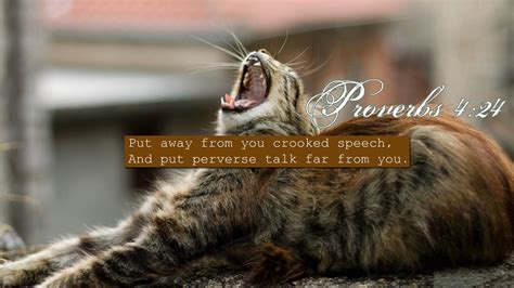 Image result for Proverbs 4
