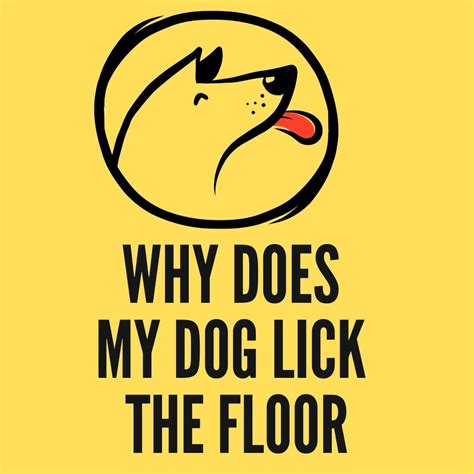Why Does My Dog Lick the floor? 8 Surprising Reasons - Oxford Pets
