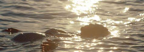 Mountain Designs - Summer 22 Adventure Shoot in Central Australia using ...