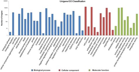 Image result for Example of Biological Process