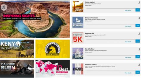 Ifit Demo 的图像结果