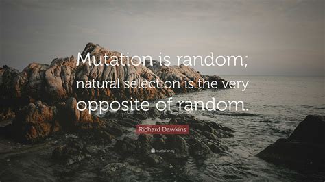 Richard Dawkins Quote: “Mutation is random; natural selection is the ...
