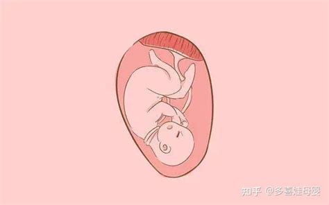 【怀孕十二周胎儿发育情况】【图】怀孕十二周胎儿发育情况如何？ 五方面了解该时期的怀孕症状_伊秀亲子|yxlady.com