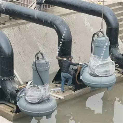 商业区污水处理 铰刀式排污泵-南京蓝宝石环保设备有限公司