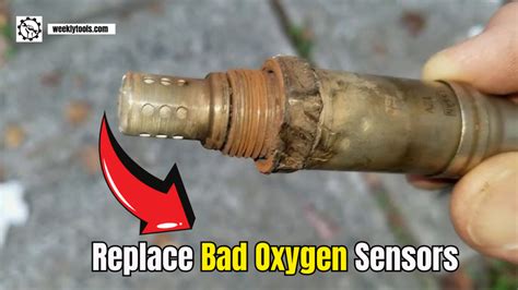 Oxygen Sensor Problems 的图像结果