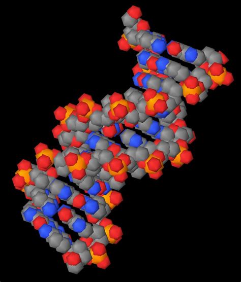 Image result for OpenGL ES