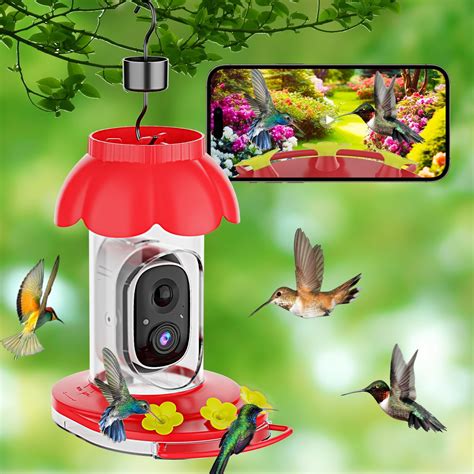 Amazon.com : Smart Hummingbird Feeder Camera, AI Identify Bird Species ...