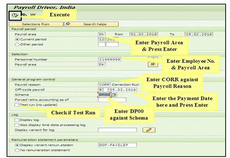 SAP CSI-HR || Process Of Data Maintenance & Off Cycle Payment Procedure ...
