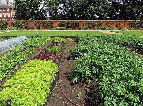 Vegetable Gardening Class (Asheboro Library), Asheboro Public Library ...