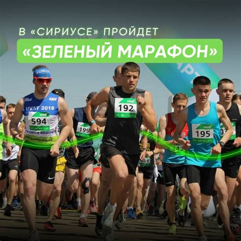 «Зеленый Марафон» в «Сириусе»! Федеральная территория стала одной из ...