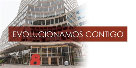 Business Brand 的图像结果