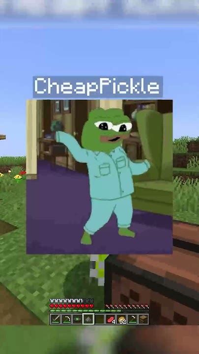 Image result for Cheappickle Frog Minecraft