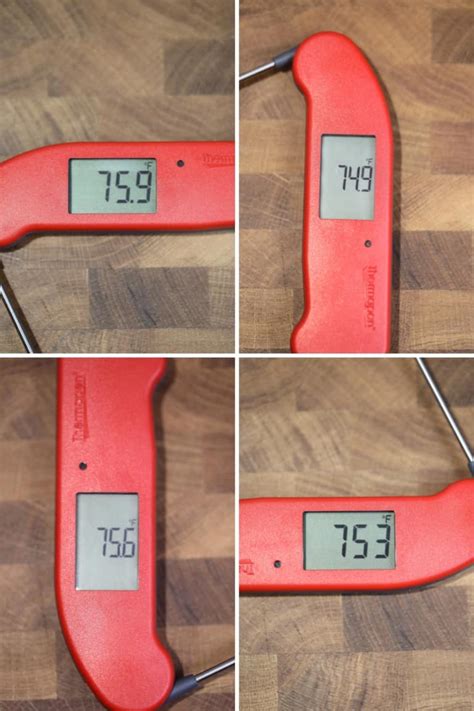 Image result for Thermapen Error Code E8
