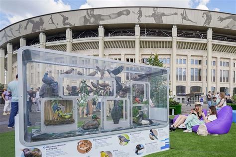 МУФ-2023 в «Лужниках»: топ-5 популярных эко активностей среди москвичей ...