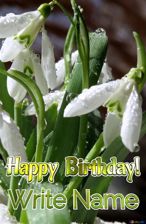 Free spring birthdays, Download Free spring birthdays png images, Free ...
