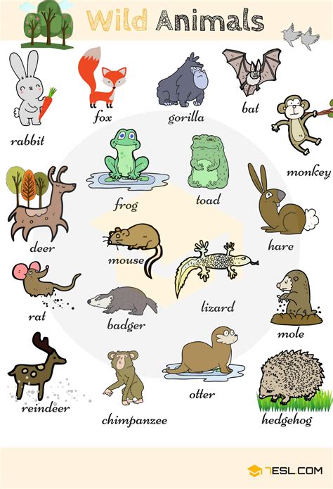 Animal Names | Types of Animals | List of Animals | Animal Pictures • 7ESL