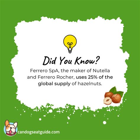 Can Dogs Eat Hazelnuts? 4 Potential Risks & Dog's Safety