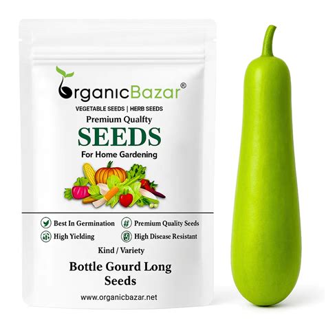 Bottle Gourd (Lauki / Ghiya) Long Seeds - 12 Seeds (लौकी के बीज) Easy ...