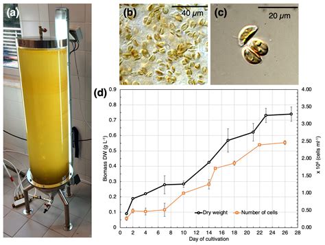 Removal of the Basic and Diazo Dyes from Aqueous Solution by the ...